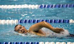 Programme für das Schwimmen - Sprint Distanz und Olympische Distanz