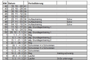 Planung Periodisierung Triathlon