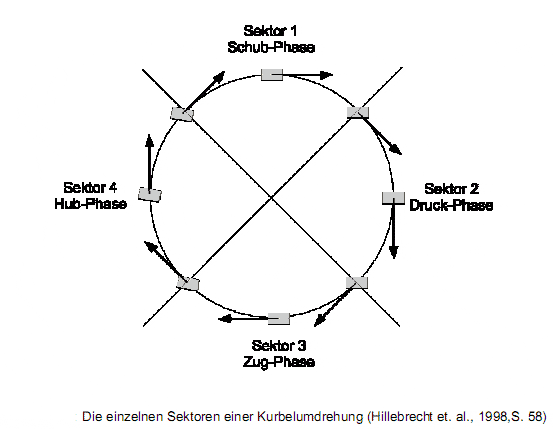 pedal cycle sectors