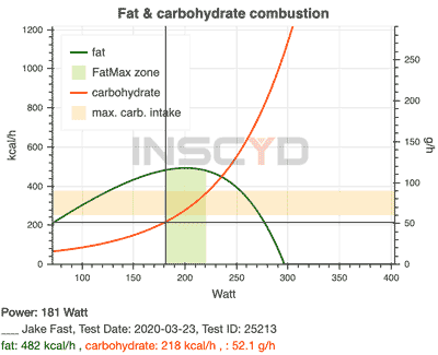 fat and carbohydrate combustion