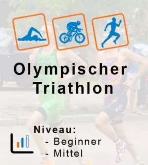 Trainingsplan Olympische Distanz