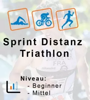 Sprint Distanz Trainingsplan