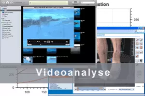Videoanalyse Schwimmen und Laufen