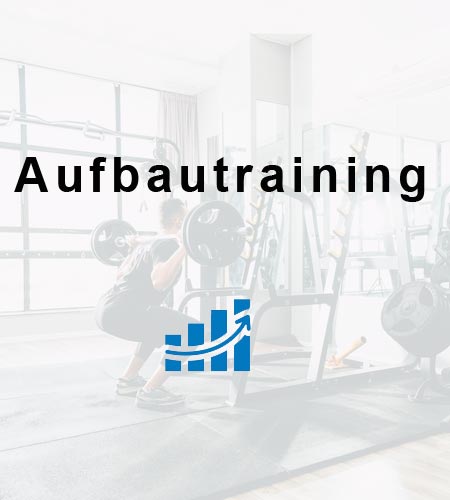 cat_Aufbautraining2