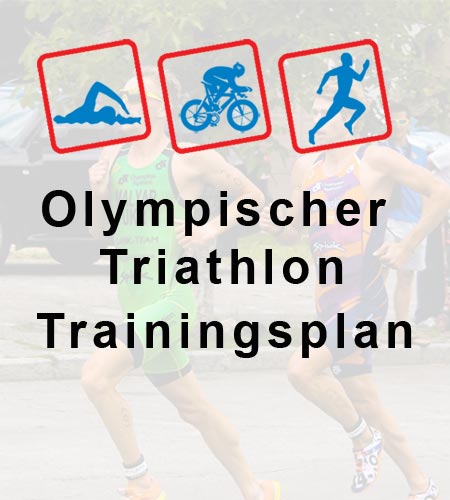 Olympische Distanz Trainingsplan 3-7h