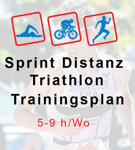 Sprint Distanz Trainingsplan 5-9h