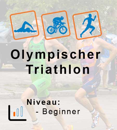 Trainingsplan Olympische Distanz  3-7h Beginner