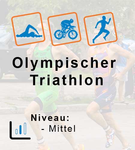 Trainingsplan Olympische Distanz  3-7h