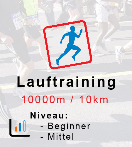 12 W Trainingsplan Lauf