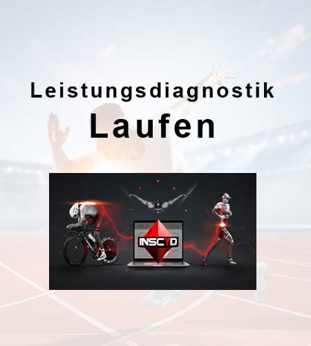 leistungsdiagostik laufen