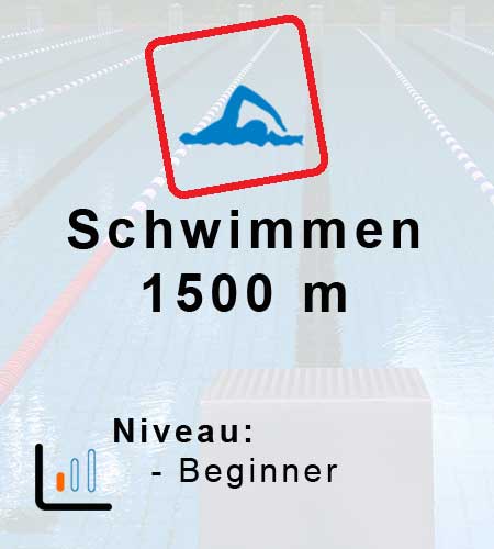 Schwimmplan Starter Triathlon Olympische Distanz 