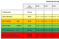 Individual training zones in swimming according to speed